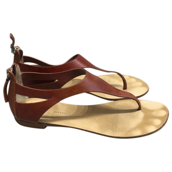Sandales Giuseppe Zanotti marrons T.37