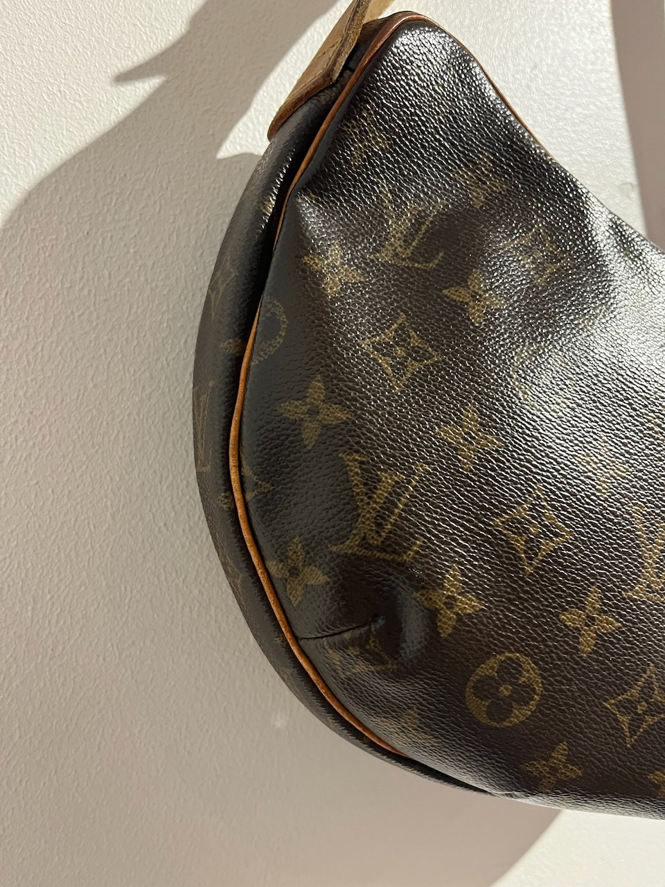 Sac Louis Vuitton monogram