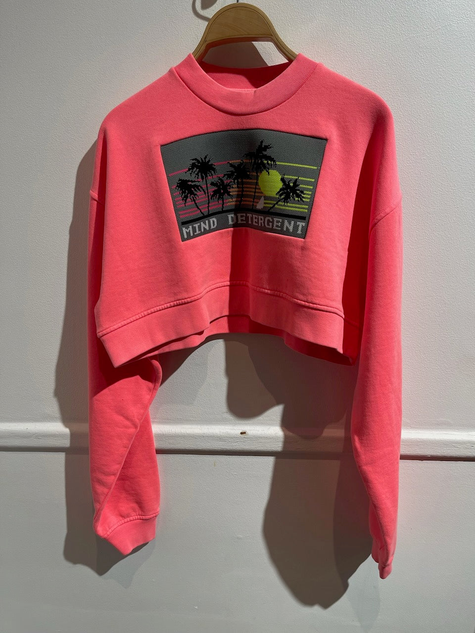 Sweat Alexander Wang rose T.XS