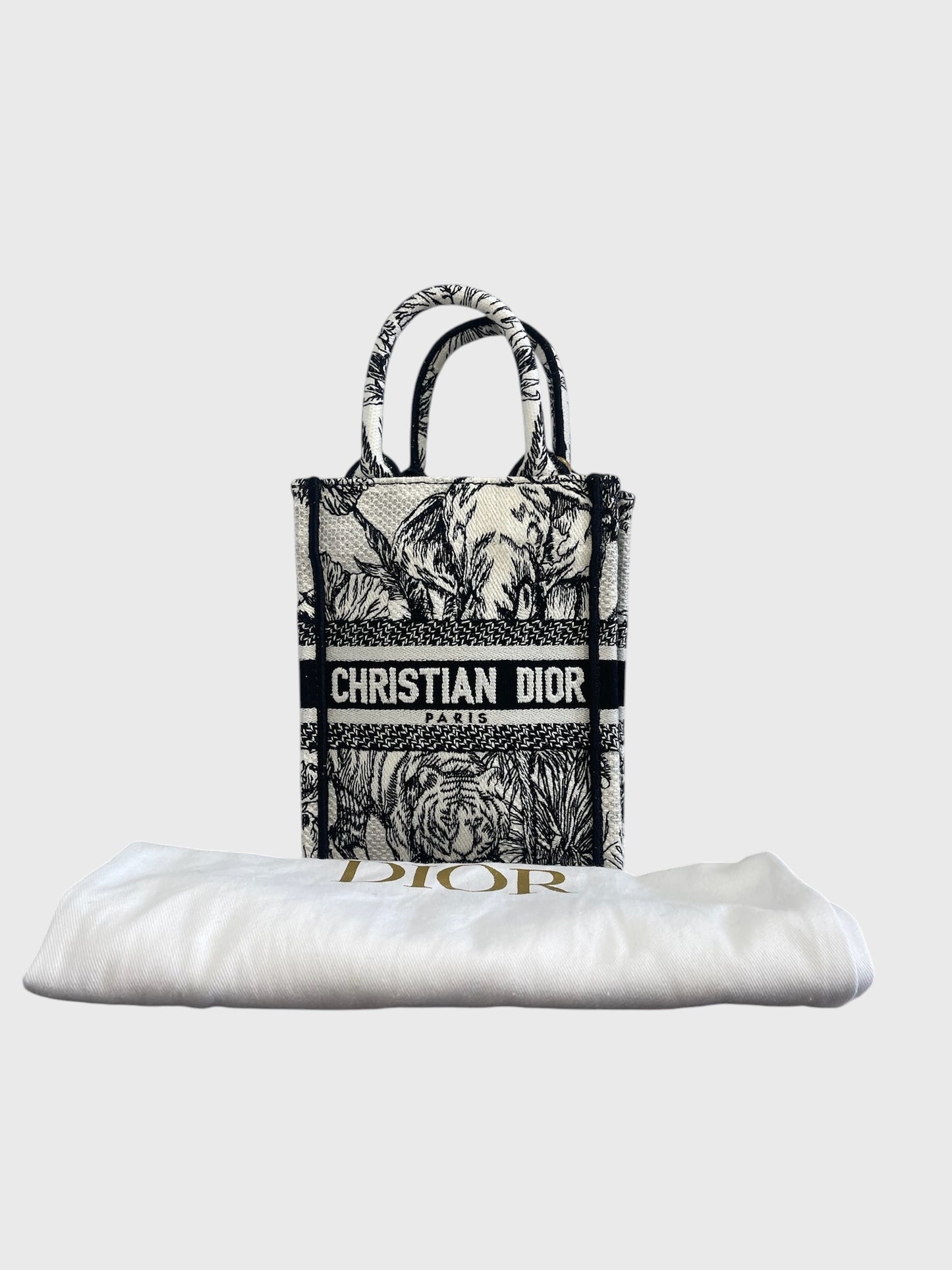 Sac Dior Book Tote mini