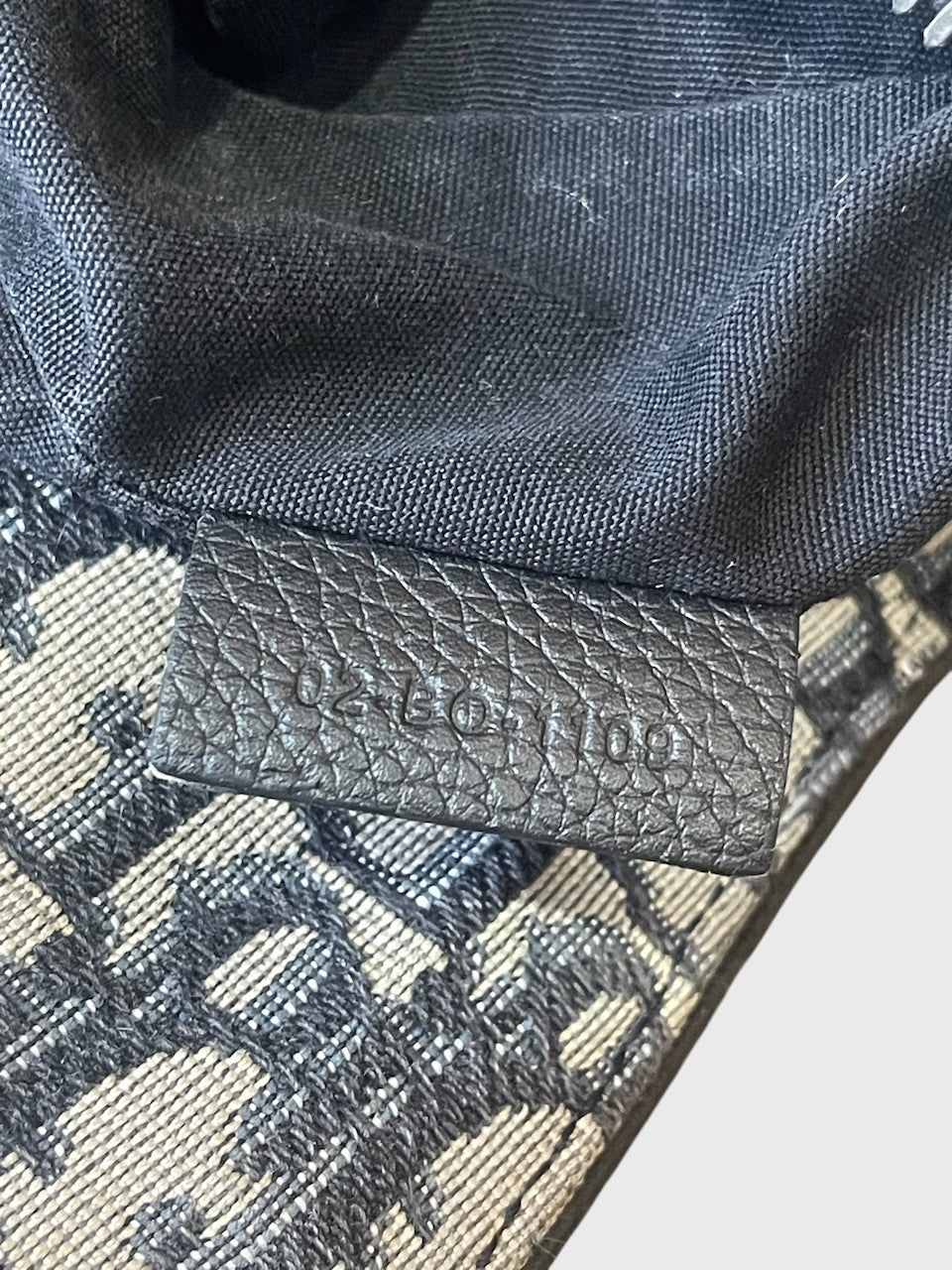 Sac Dior Saddle