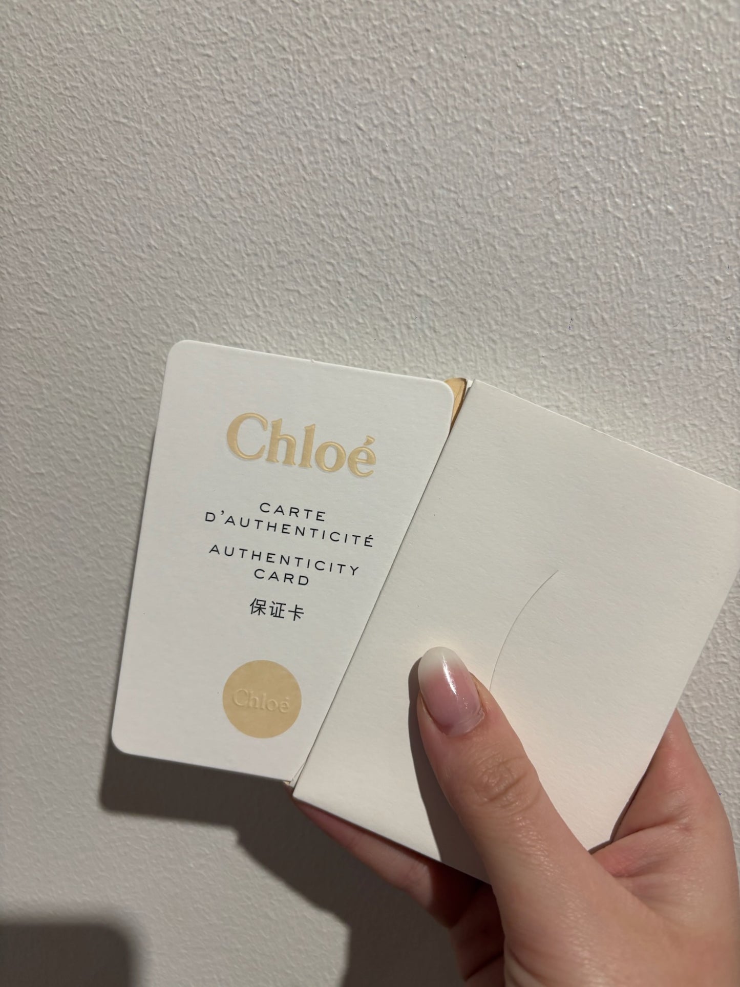 Sac Chloé Baylee