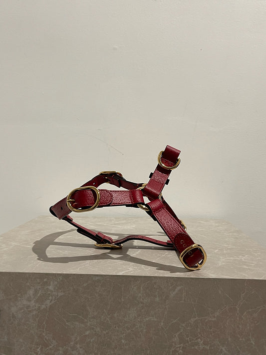 Harnais pour chien & chat Gucci Neuf