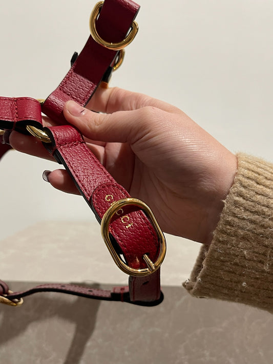 Harnais pour chien & chat Gucci Neuf