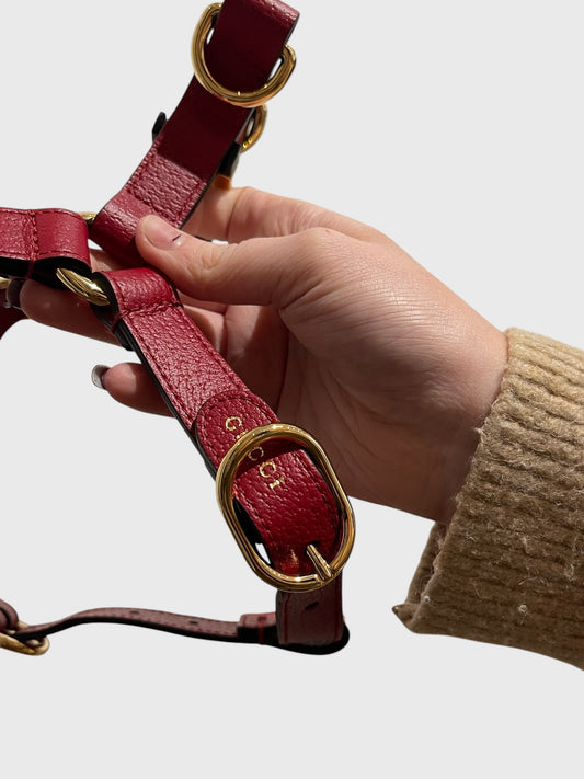 Harnais pour chien & chat Gucci