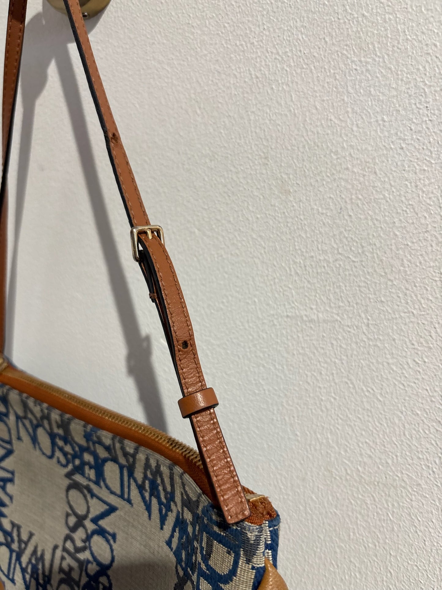 Sac J.W. Anderson Moon