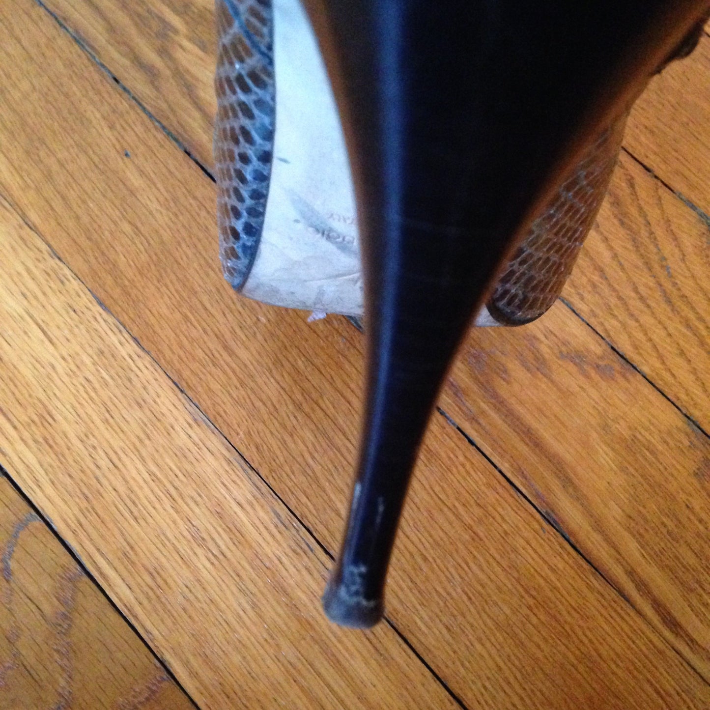 Boots Giuseppe Zanotti Serpent T.39,5