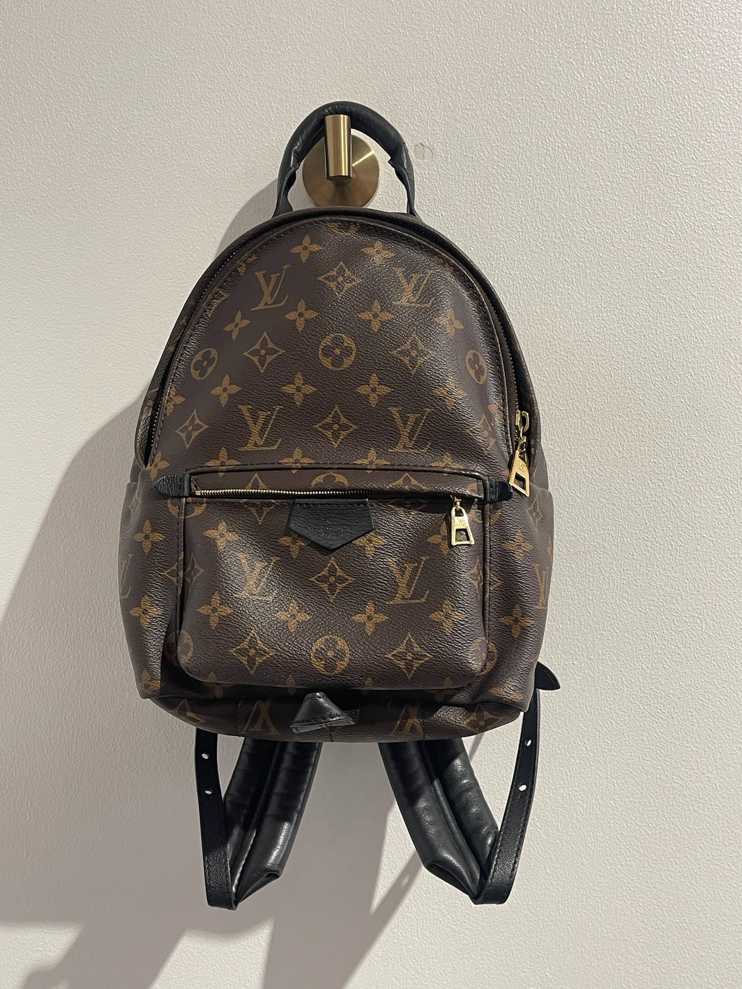 Sac à dos Louis Vuitton Palm Spring MM