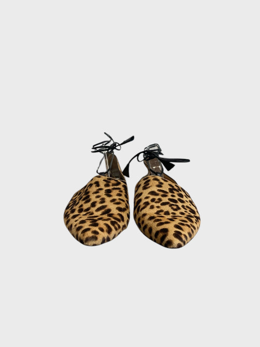 Ballerines Gianvito Rossi leopard T.37,5