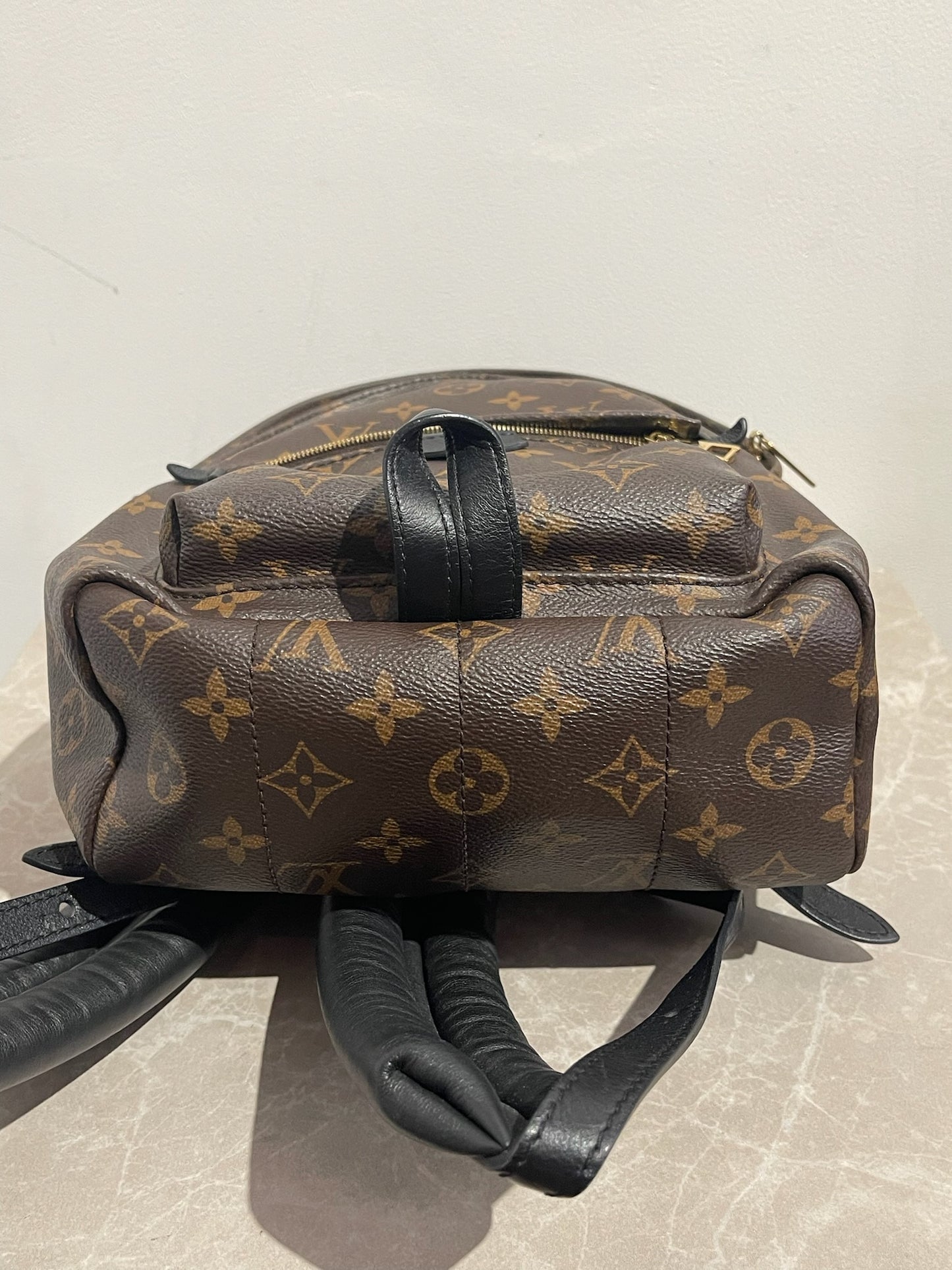 Sac à dos Louis Vuitton Palm Spring MM