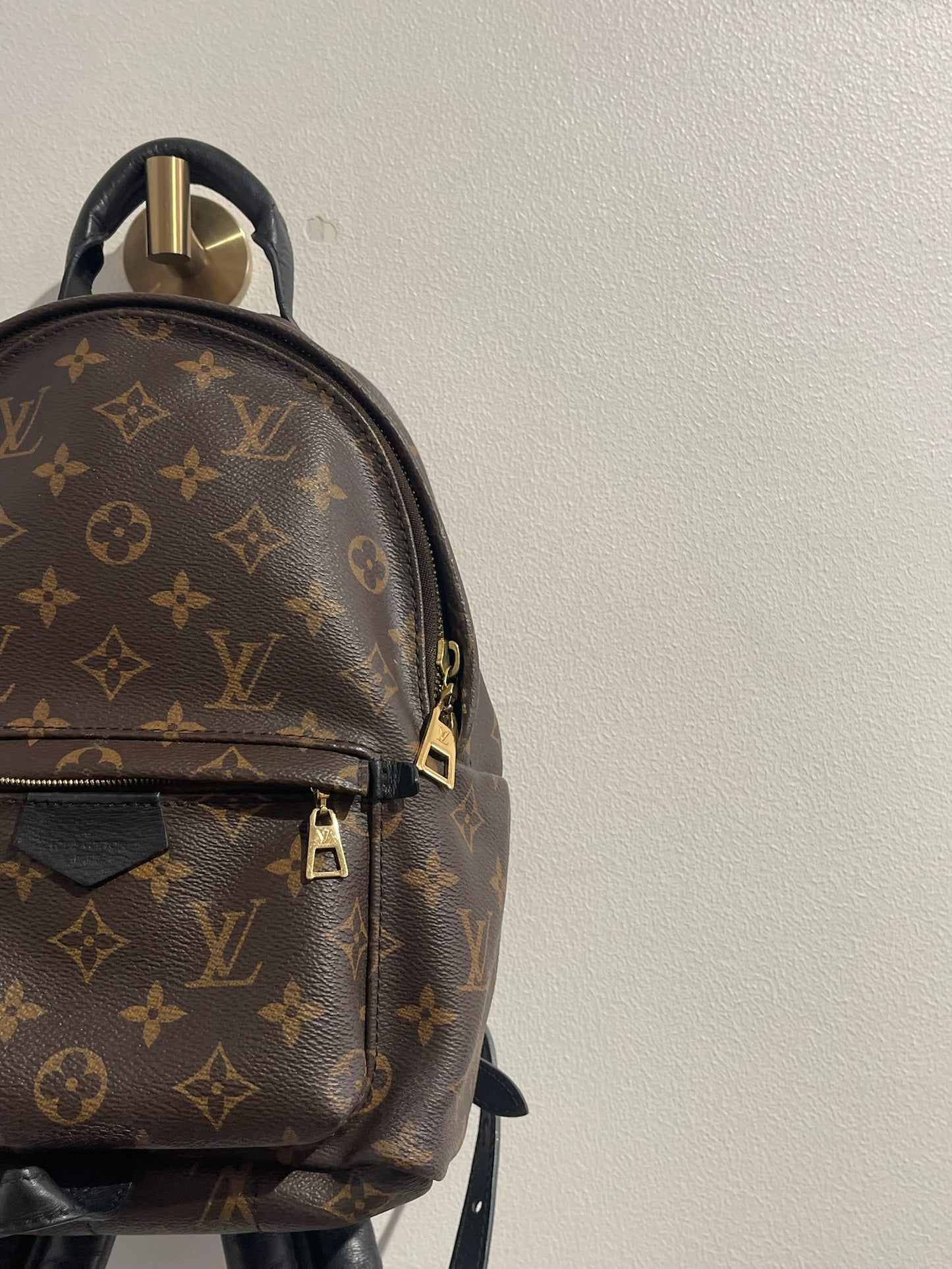 Sac à dos Louis Vuitton Palm Spring MM