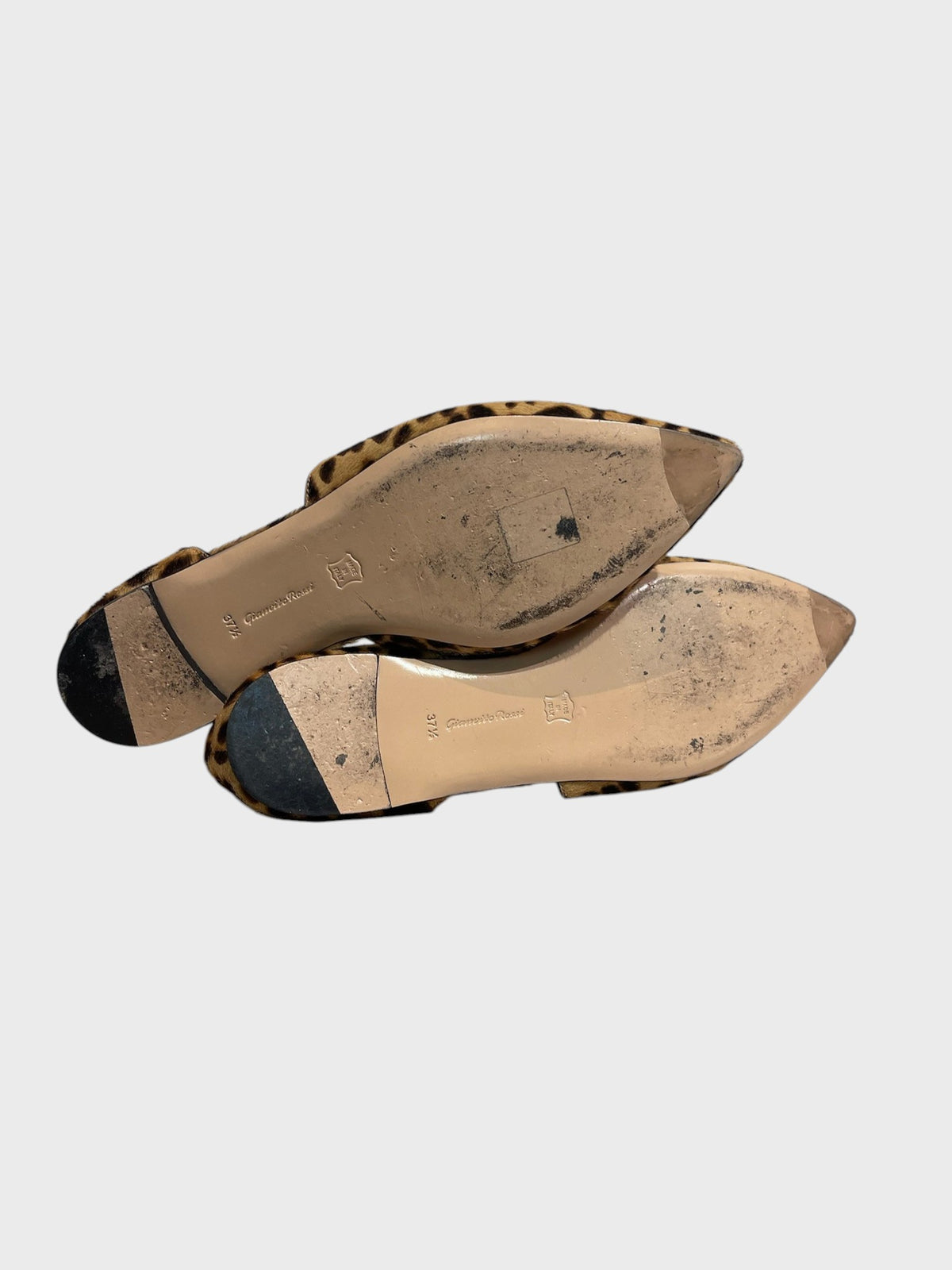 Ballerines Gianvito Rossi leopard T.37,5