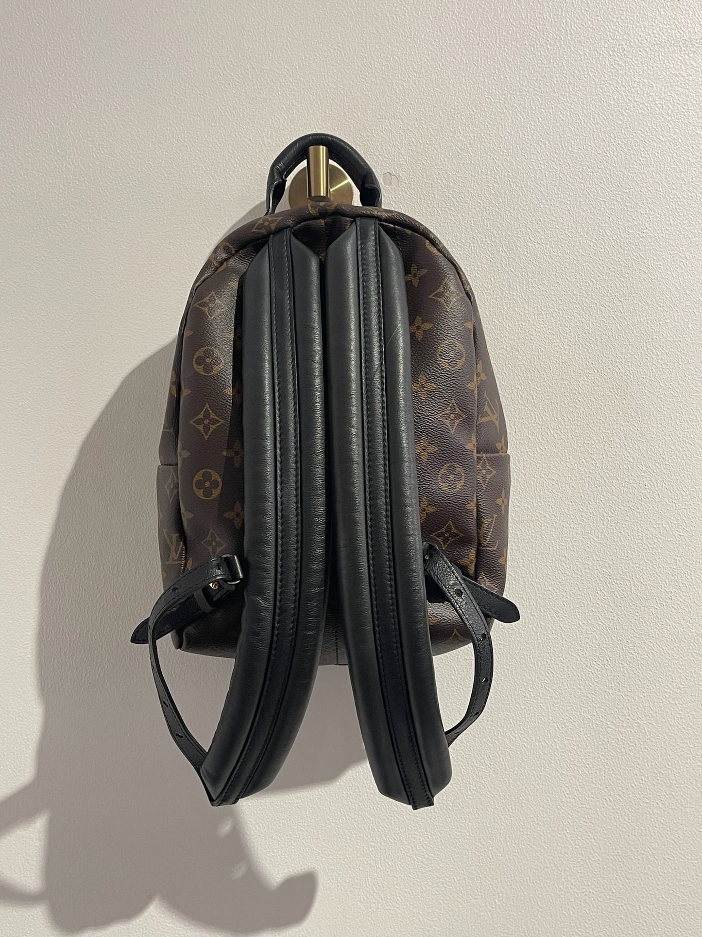 Sac à dos Louis Vuitton Palm Spring MM