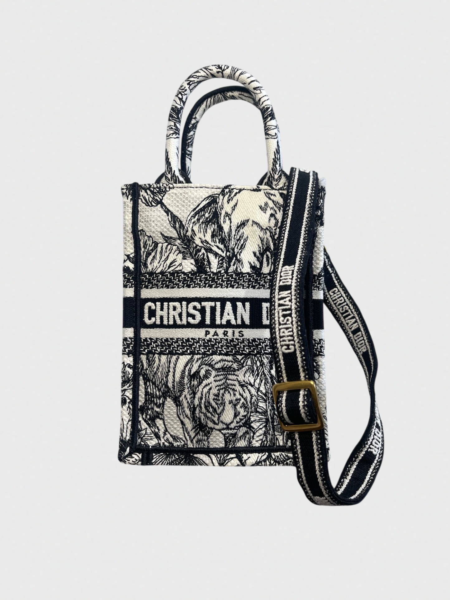 Sac Dior Book Tote mini
