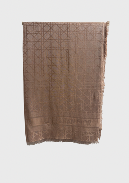 Châle Dior Oblique