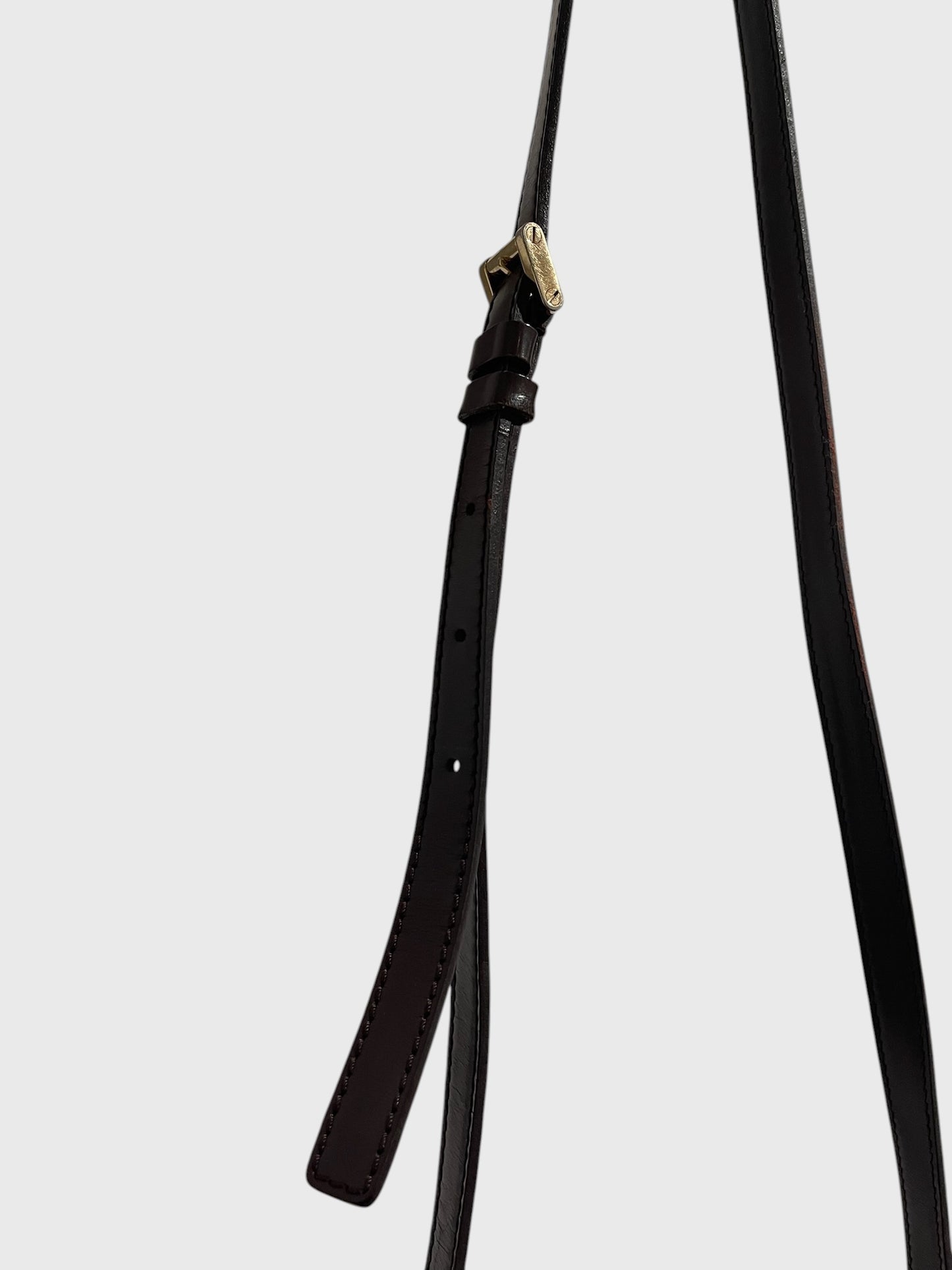 Sac Louis Vuitton Salsa Damier