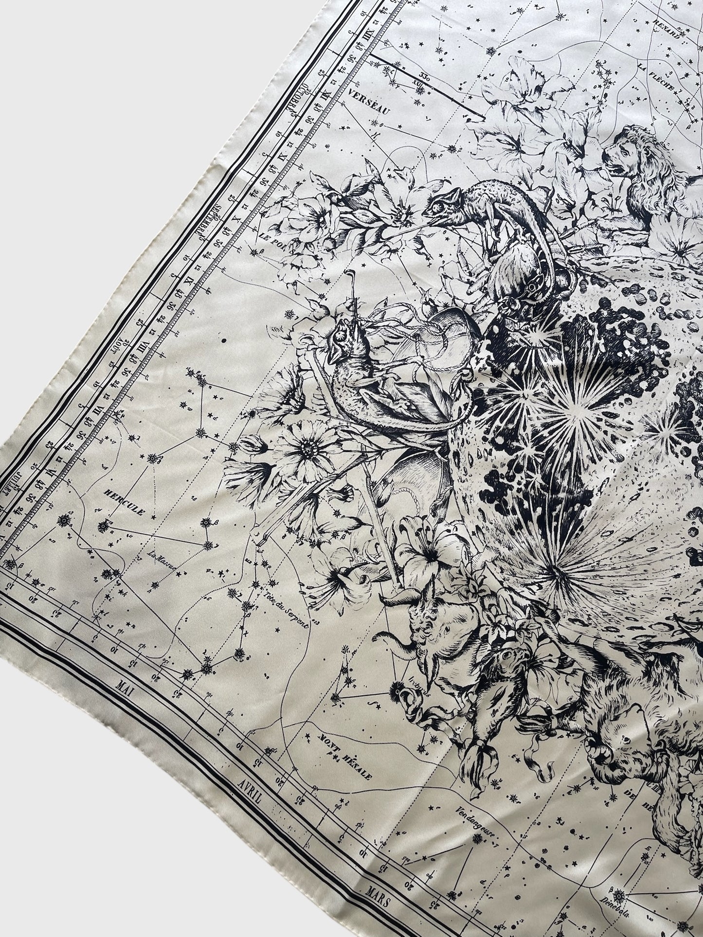 Foulard Dior Celeste