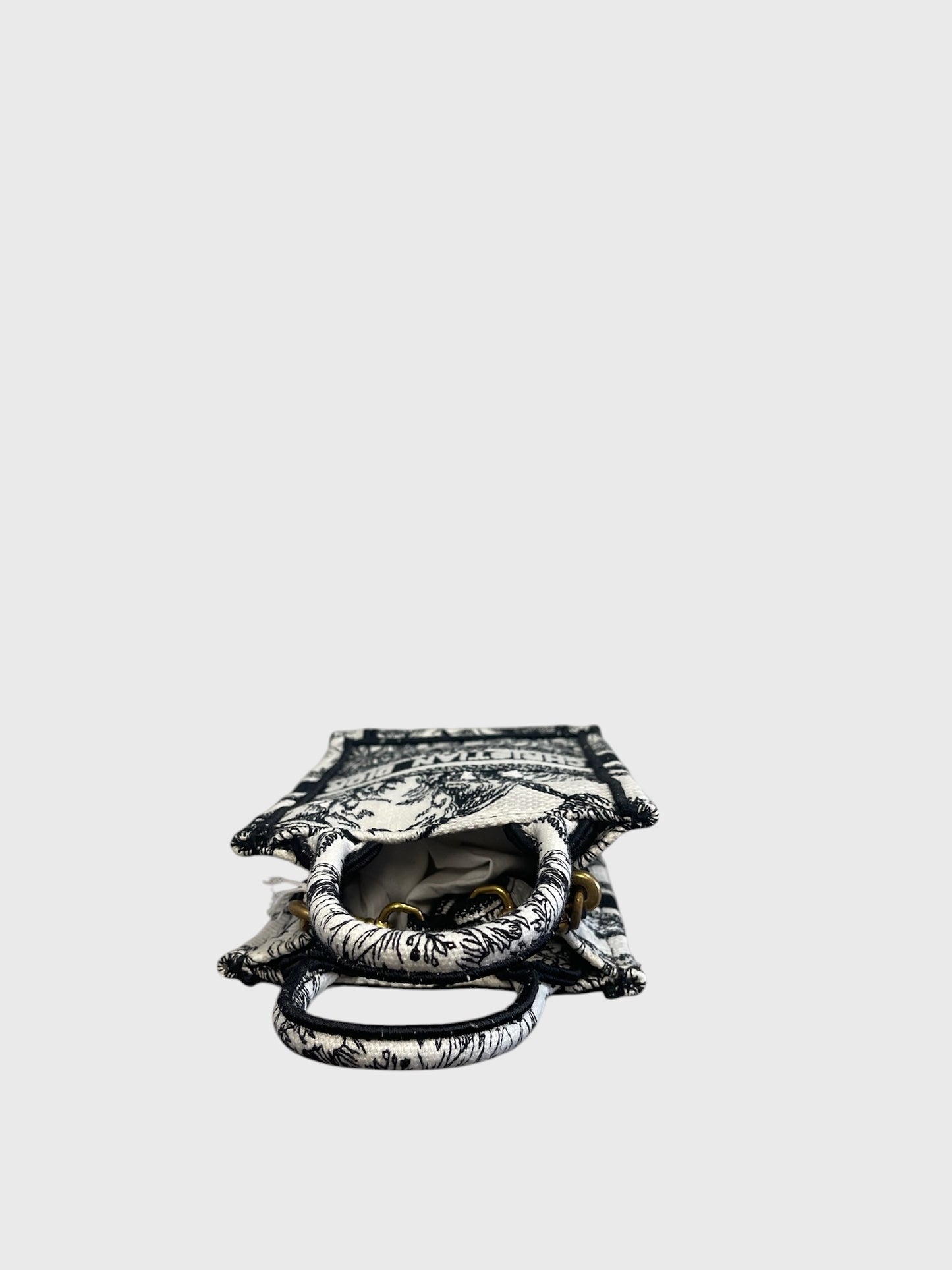 Sac Dior Book Tote mini