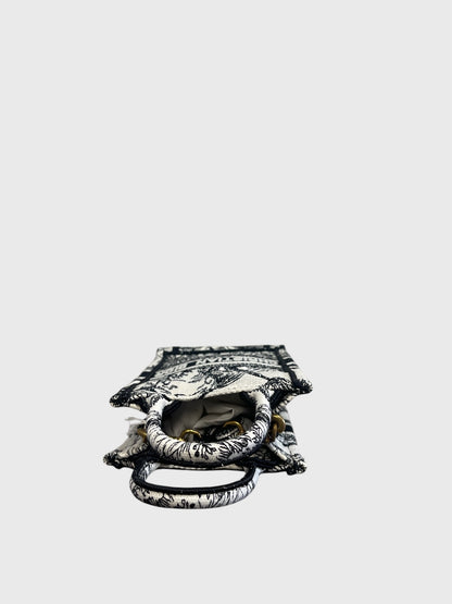 Sac Dior Book Tote mini