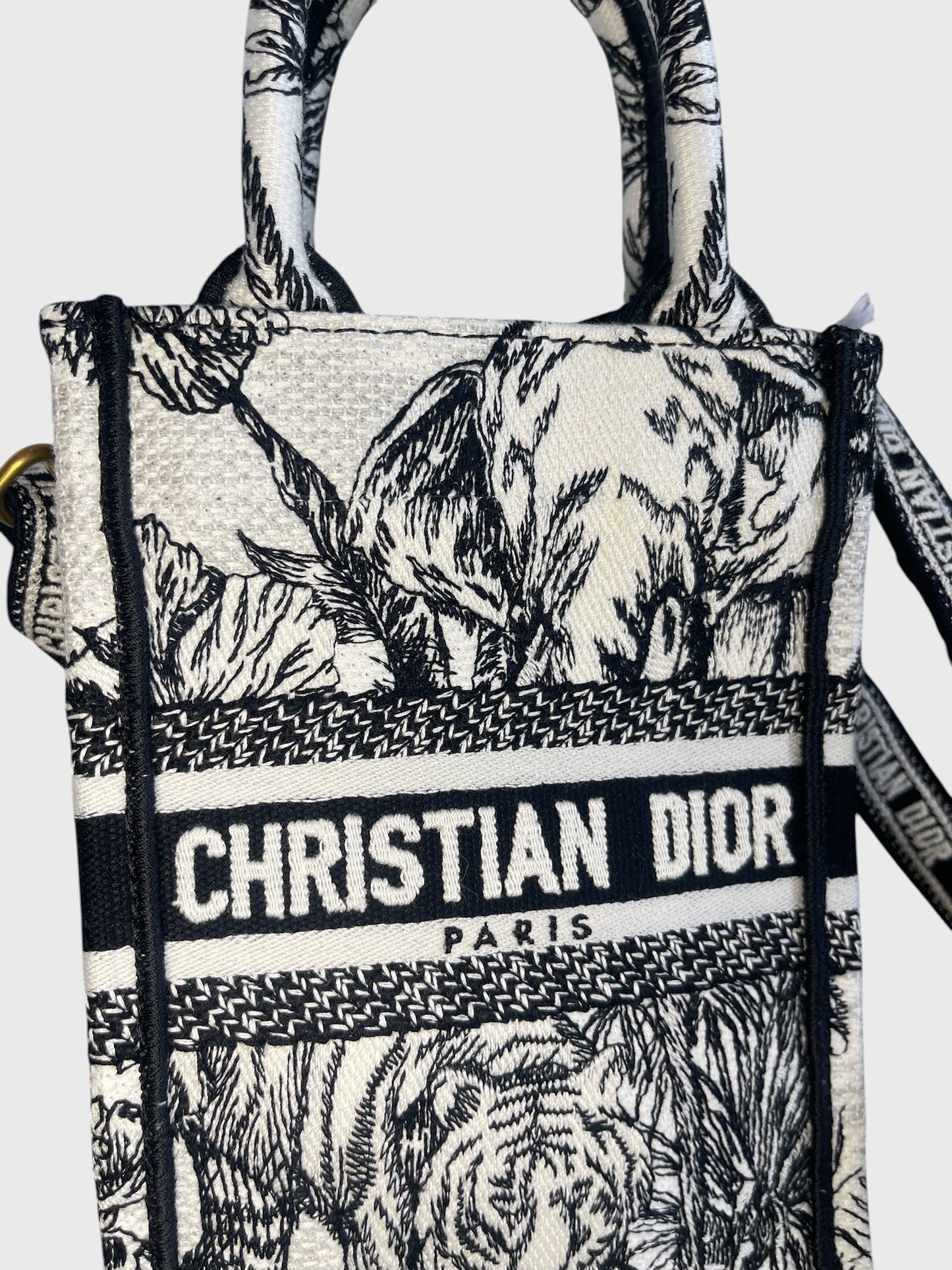 Sac Dior Book Tote mini