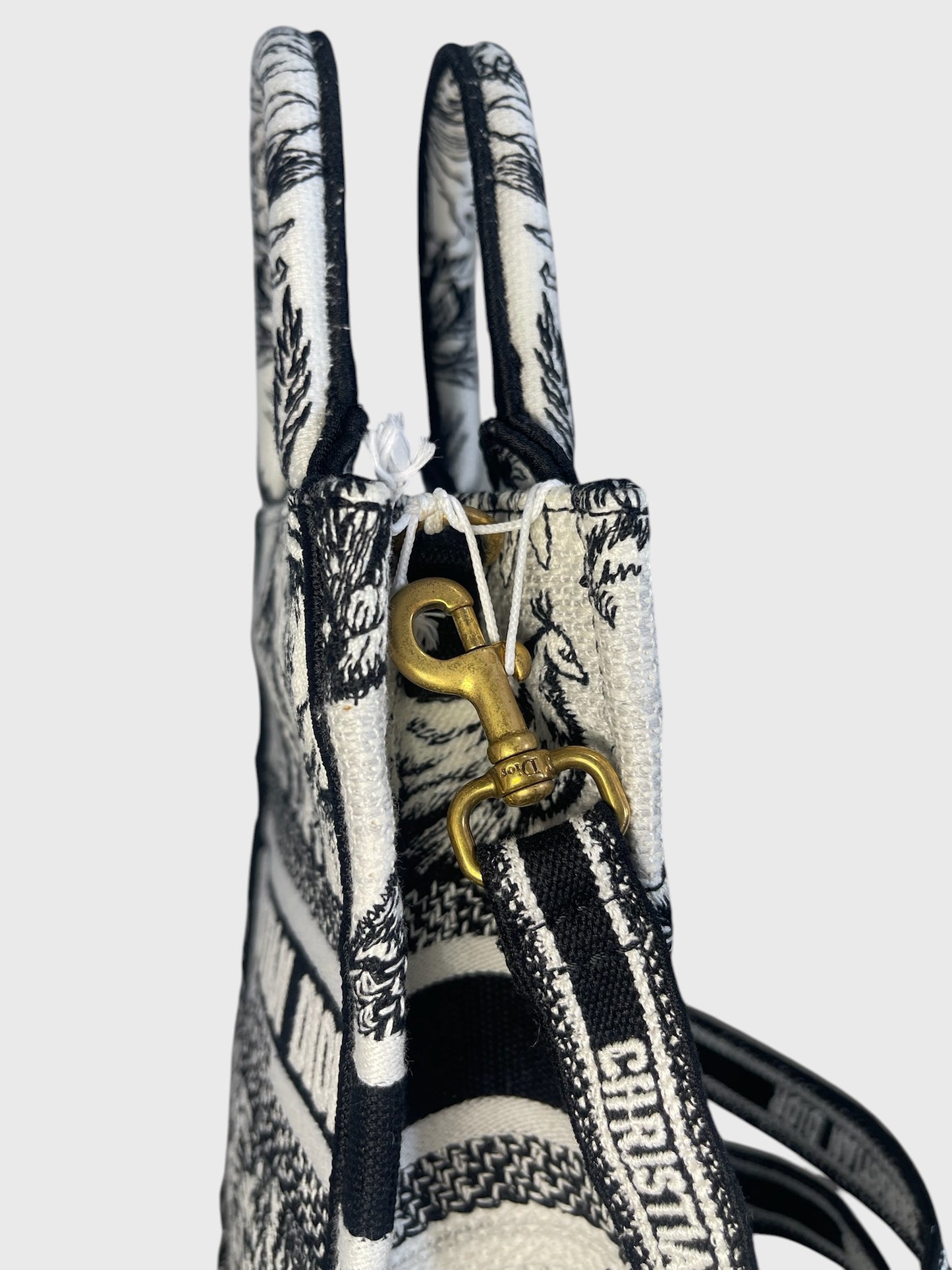 Sac Dior Book Tote mini