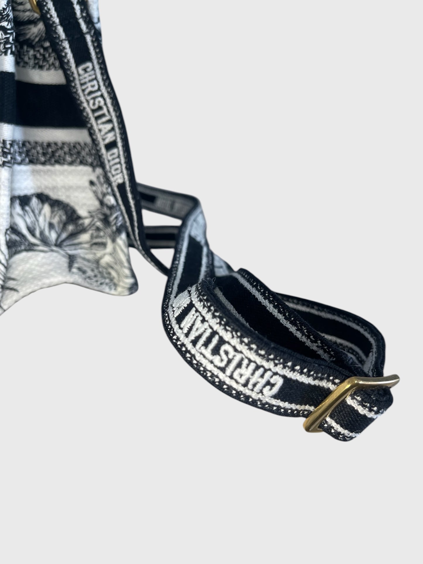 Sac Dior Book Tote mini