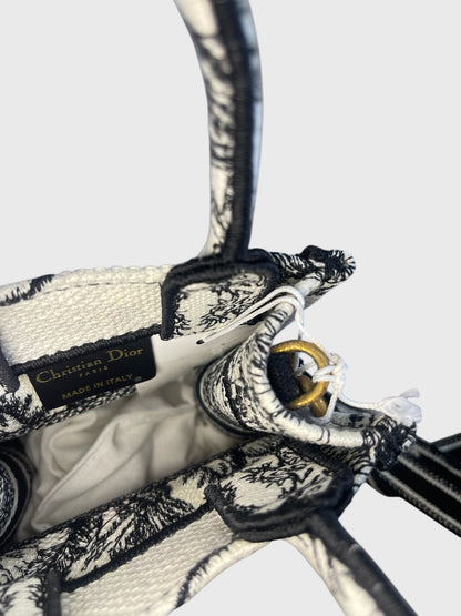 Sac Dior Book Tote mini