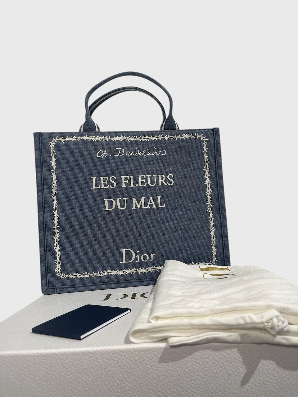 Sac cabas Dior Book Tote bleu