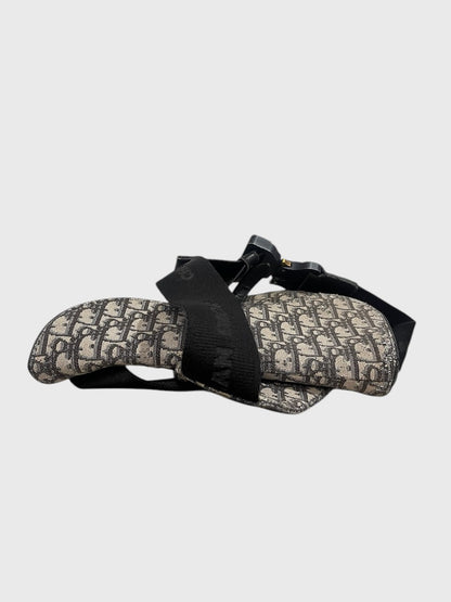Sac Dior Saddle