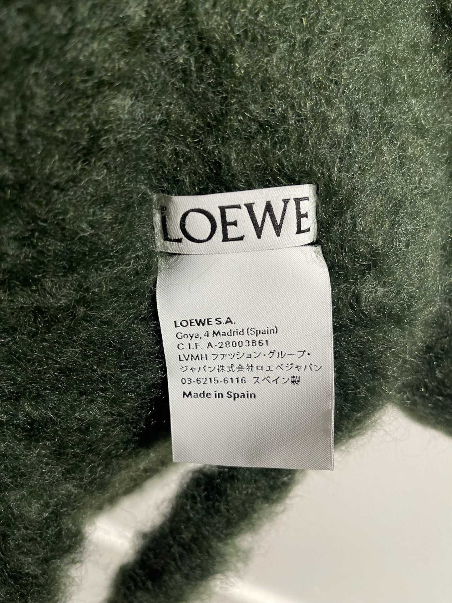Echarpe Loewe verte