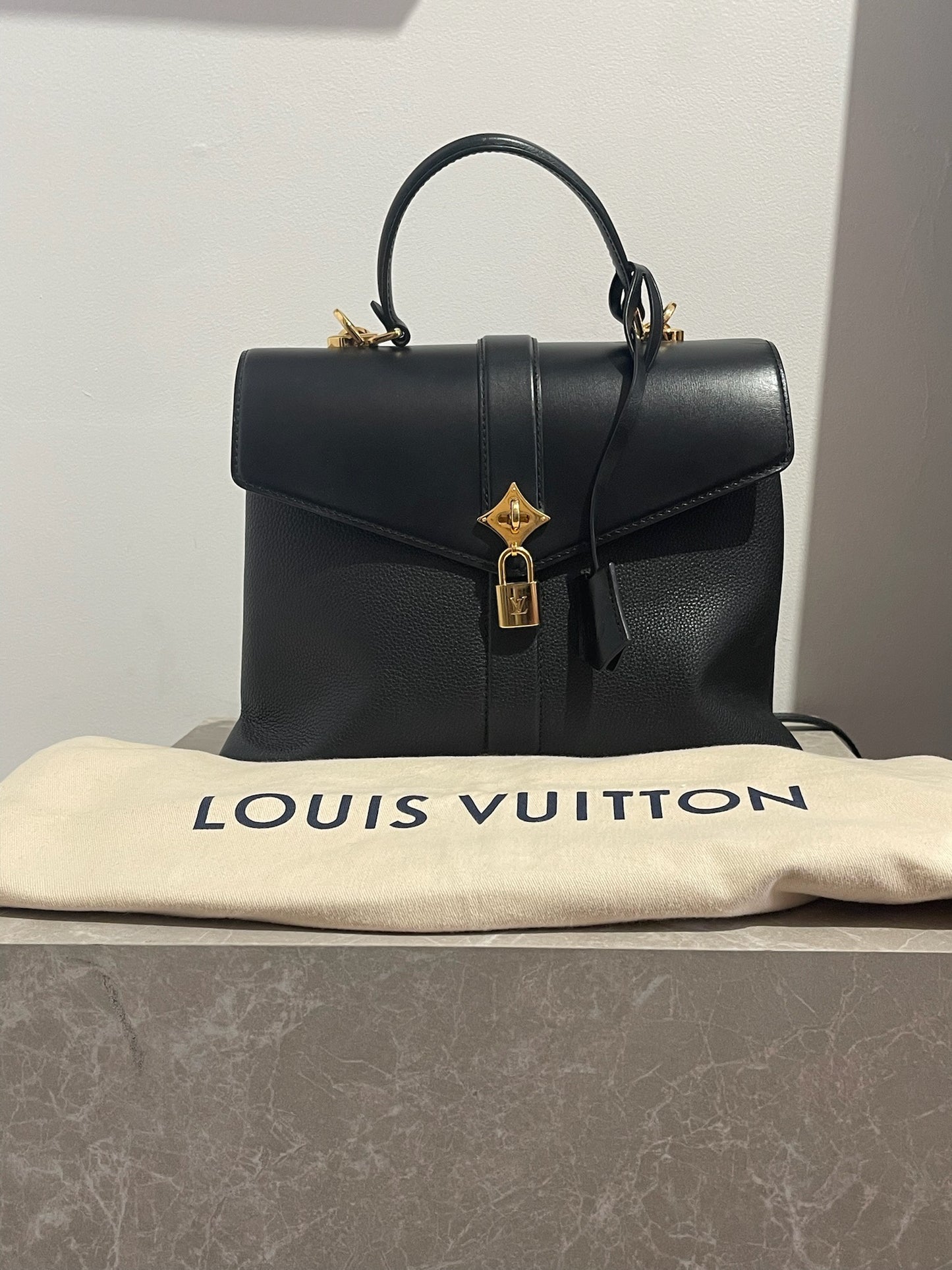 Sac Louis Vuitton Rose des Vents noir