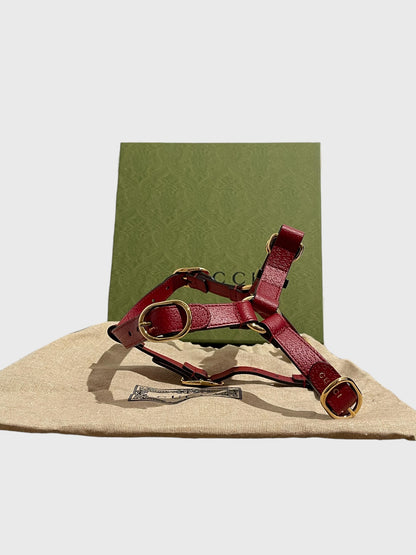 Harnais pour chien & chat Gucci