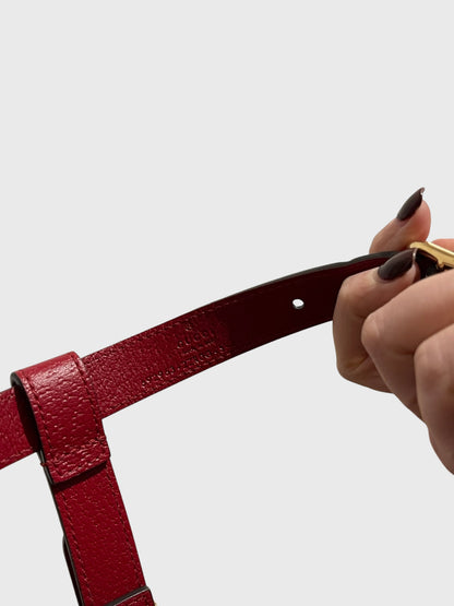 Harnais pour chien & chat Gucci