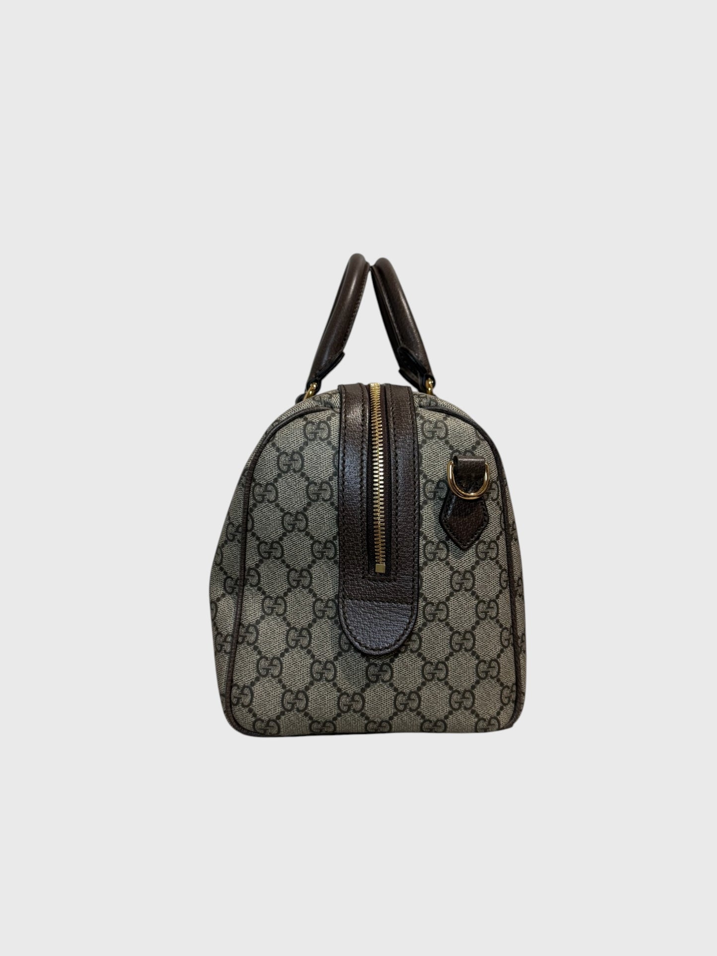 Sac Gucci Boston Ophidia