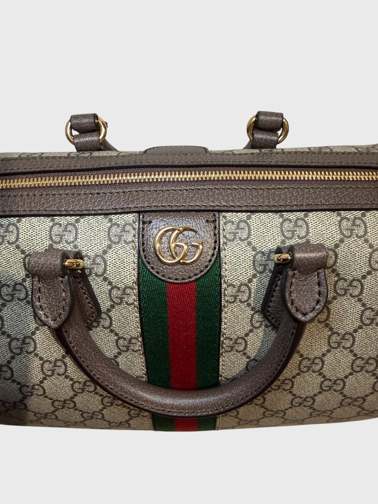 Sac Gucci Boston Ophidia