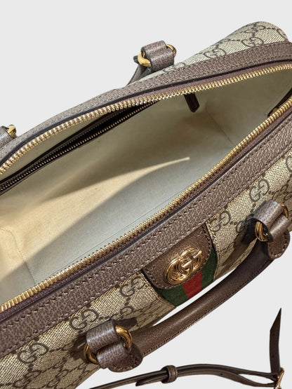 Sac Gucci Boston Ophidia
