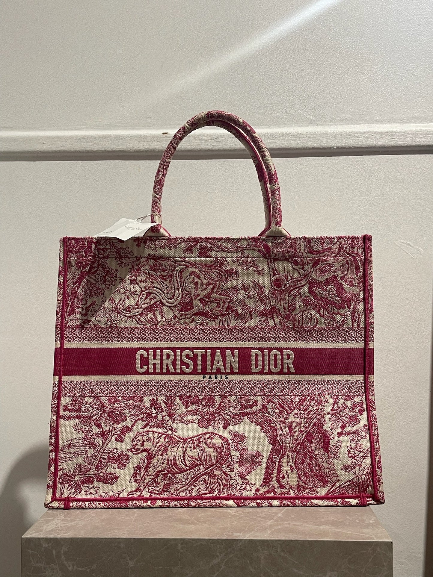 Sac Dior Book Tote NEUF