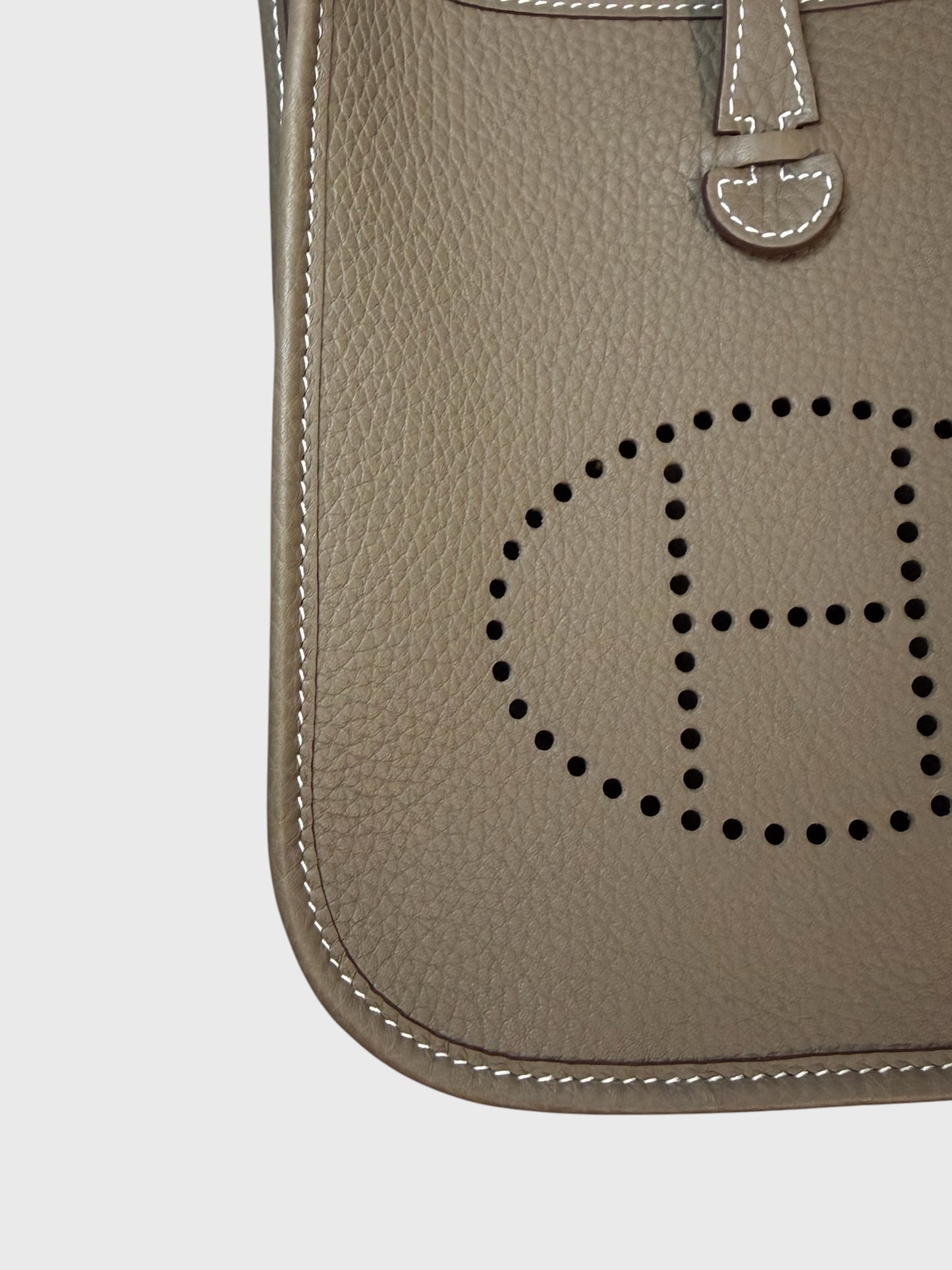 Sac Hermès Evelyne 16 Amazone