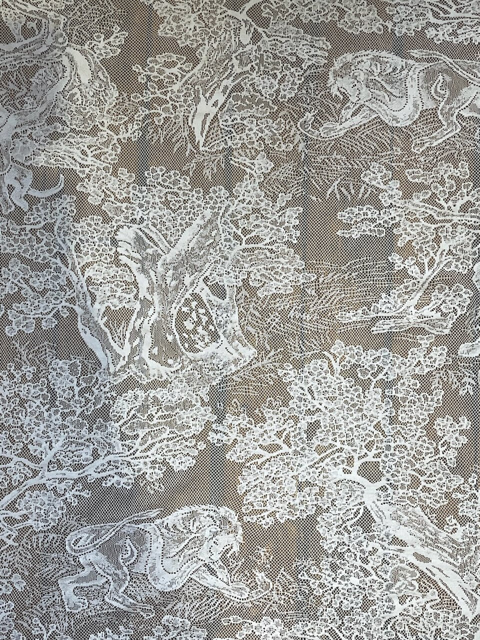 Foulard Dior dentelle blanche