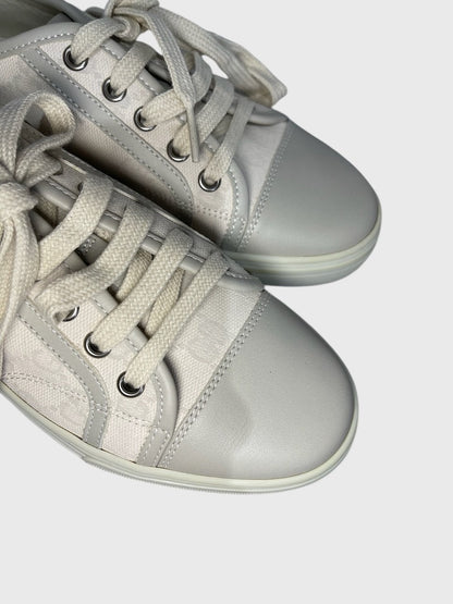 Baskets Gucci beiges T.36
